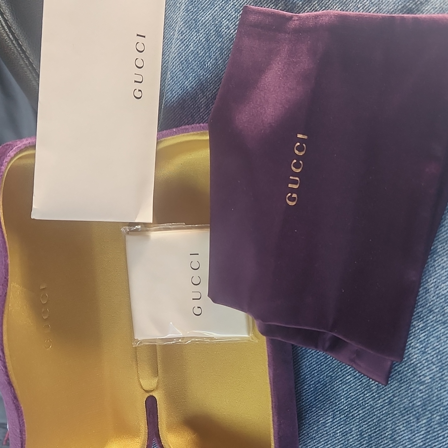 Gucci Velt Sunglass Case